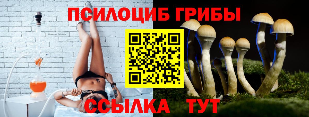  Кокаин Дмитров
