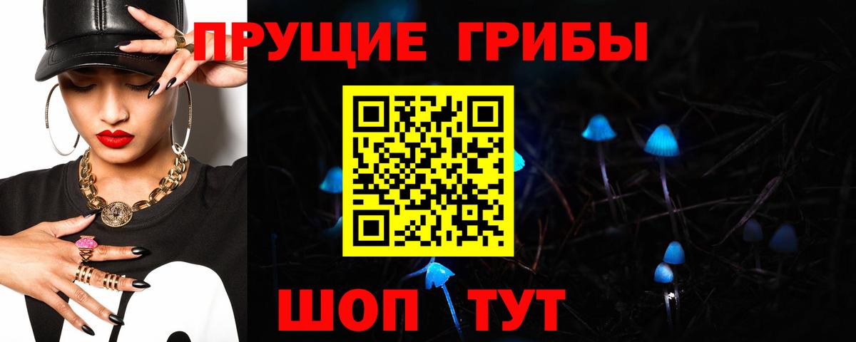 Галлюциногенные грибы GOLDEN TEACHER  Галлюциногенные грибы прущие грибы  Дмитров  Вход с VPN 